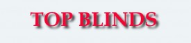 Blinds Southbank - V Blinds